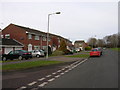 Gloucester, Abbeydale: Bittern Avenue in GL4 4NL