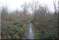 Footpath, Stock Wood in CT2 9DE