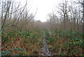 Footpath, Stock Wood (2) in CT2 9DE