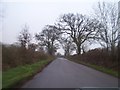 Mid Devon : Country Roads in EX15 1SF