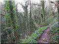 Footpath, Wannock Glen in BN26 5PP