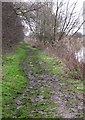 Footpath, New River Ancholme in DN20 8FW