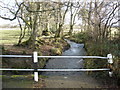 Swollen stream, south of Iddesleigh in EX19 8BE