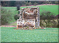 Ruined Dovecot in KY3 0SB