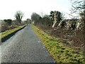 The Road from Ardington in Ardington