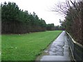 Footpath by the A79 road in Prestwick