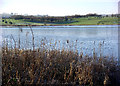 Kirk Loch, Lochmaben in DG11 1PD