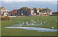 Grass area and houses behind the beach in BN12 4QP