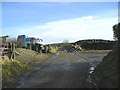 Winter Silage in Llanllawddog Community