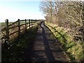 Roadside path near Langford in TA2 6TA