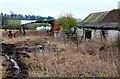 Derelict Farm Buildings near Frankham Farm in BA22 9RE