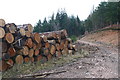 Forest operations on Scaut Hill in AB55 4DL