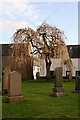 Laurencekirk churchyard. in AB30 1EY