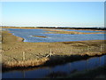Normandy Marsh, near Lymington in SO41 8AE