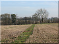 Footpath through the stubble in ME17 2BU