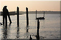 Old mooring posts, Alresford Creek in CO7 8BB