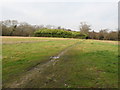 Footpath to Barn's Copse in BN18 0XA