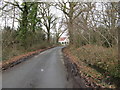 Lane through Stewards Copse in BN18 0UX