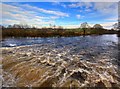 River Ken, with water from Glenlee Tailrace Emerging In The Foreground in DG7 3PJ