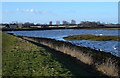 Salt marsh near Lower Halstow in ME9 7DF