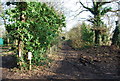 Footpath near Alcroft Grange in CT2 9NN