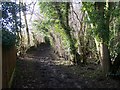 Footpath past Quarry Wood in ME15 0PJ