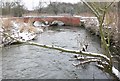 Bridge across the River Biam in LE3 2EW