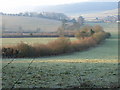 Farmland below Adam's Wood in RG9 6NR