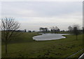 Small lake in CH8 9AG