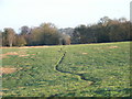 Farmland near Bracknell in RG42 4GB