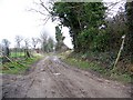 Bridleway near Tarrant Crawford in DT11 9HY