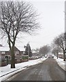 Chestnut Avenue in the snow in DN6 8PX