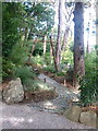 Japanese Garden at Pine Lodge, nr. St. Austell in PL25 3HQ
