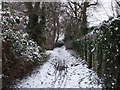 Footpath from Beulah Rd to Heol-y-Bont, Rhiwbina, Cardiff in CF14 5HD