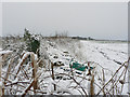 A cold hedgerow near Llanmaes in CF61 2XR