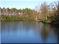 Rapley Lake, frozen in GU19 5PN