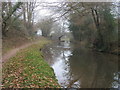 Bridge 146 over the Monmouthshire and Brecon Canal in LD3 7JE