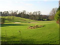 Williamwood Golf Course in G44 3XR
