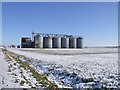 Grain Silos at Flagrass  Hill in PE15 8SE