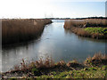 The northwestern edge of Hickling Broad in NR12 0YU