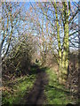 Footpath near Wheathill Farm in L36 5YX