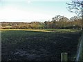 Farmland, New Park Farm , Newgatestreet, Hertfordshire in SG13 8RA