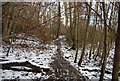 Footpath through the woods near High Rocks in TN3 0BJ
