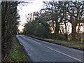 Brickendon Lane, Hertfordshire, looking south in SG13 8FG