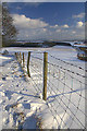 Fence line, Culhawk Hill in DD8 5EU