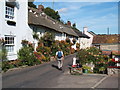 Branscombe, flower displays and doves on thatched roof in EX12 3DB