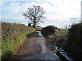 Minor road, near Higher Bagmores Farm in EX5 1LA