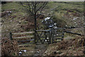 Gate on path across Birkett Houses Allotment in LA23 3PF