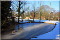 Frozen pond, Risby village green in IP28 6QH