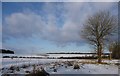 Kimpton - Snowy Field in SP11 8PR